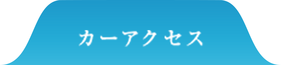 カーアクセス